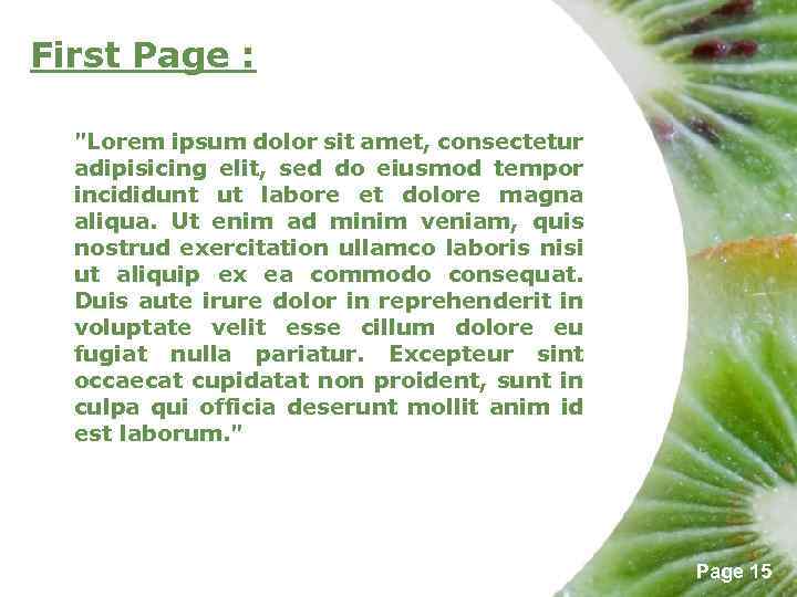 First Page : "Lorem ipsum dolor sit amet, consectetur adipisicing elit, sed do eiusmod