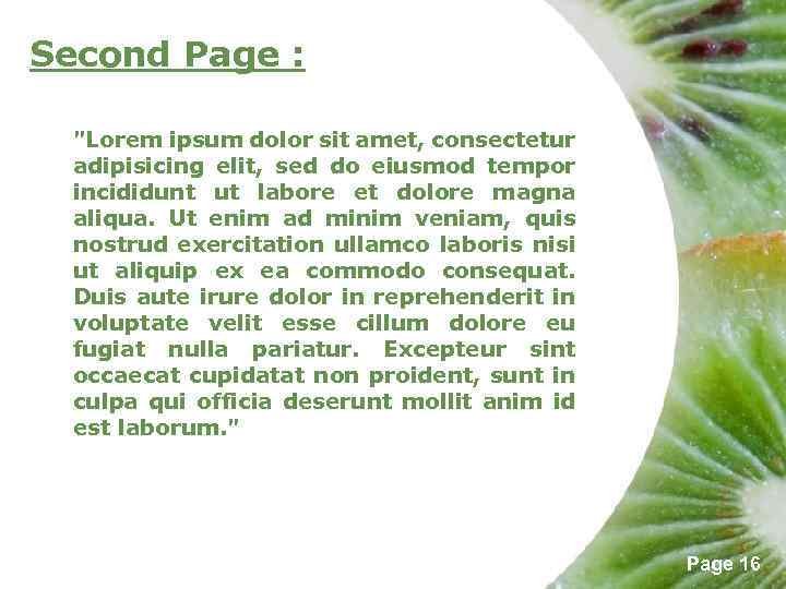 Second Page : "Lorem ipsum dolor sit amet, consectetur adipisicing elit, sed do eiusmod