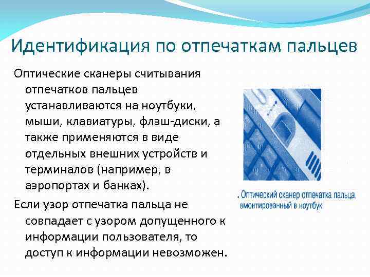 Идентификация по отпечаткам пальцев Оптические сканеры считывания отпечатков пальцев устанавливаются на ноутбуки, мыши, клавиатуры,