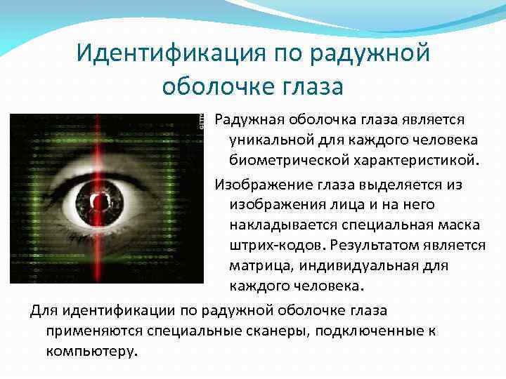 Идентификация по радужной оболочке глаза Радужная оболочка глаза является уникальной для каждого человека биометрической