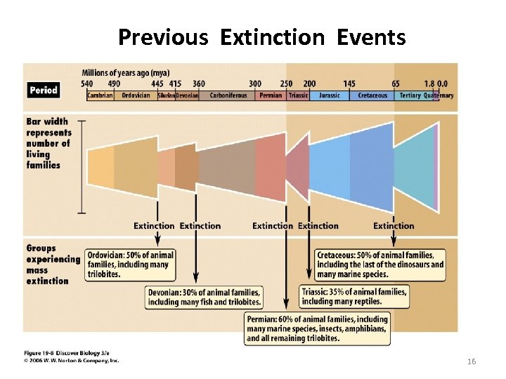 Previous Extinction Events 16 