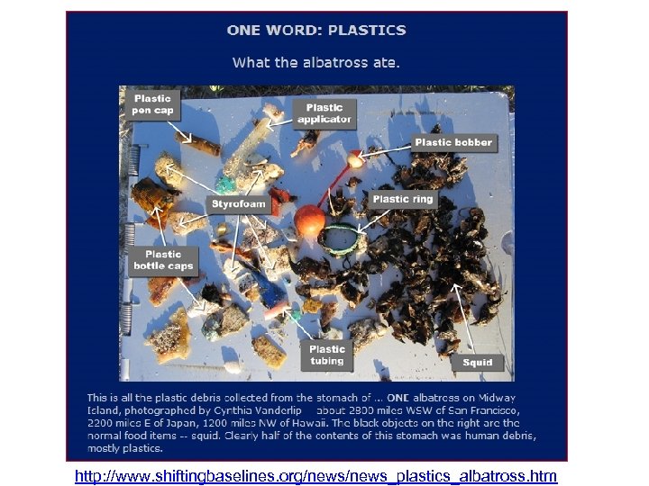 - CNN. com/tecnhology November 16, 2007 http: //www. shiftingbaselines. org/news_plastics_albatross. htm 