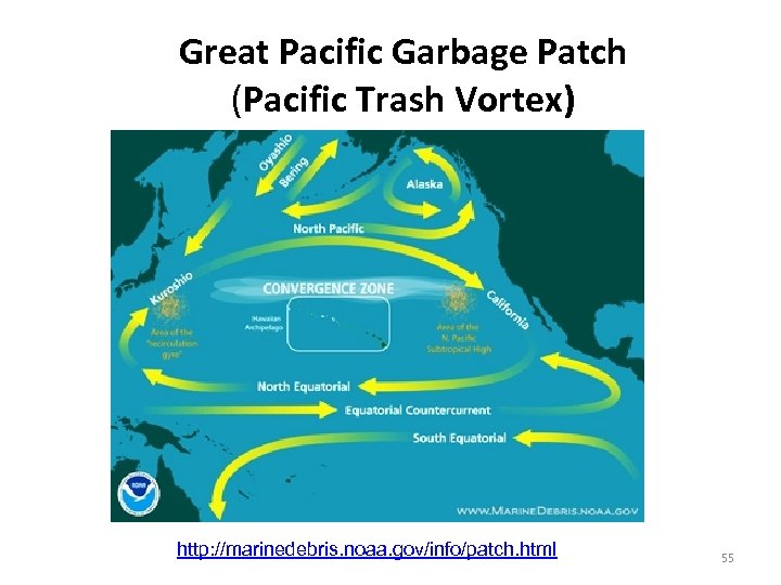 Great Pacific Garbage Patch (Pacific Trash Vortex) http: //marinedebris. noaa. gov/info/patch. html 55 
