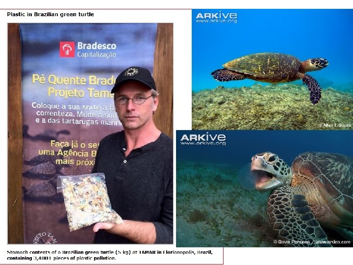 - CNN. com/tecnhology November 16, 2007 