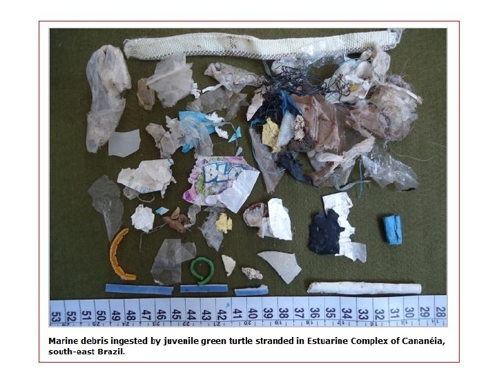 - CNN. com/tecnhology November 16, 2007 