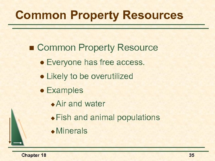 Common Property Resources n Common Property Resource l Everyone has free access. l Likely