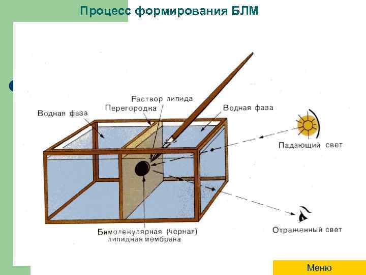 Процесс формирования БЛМ Меню 