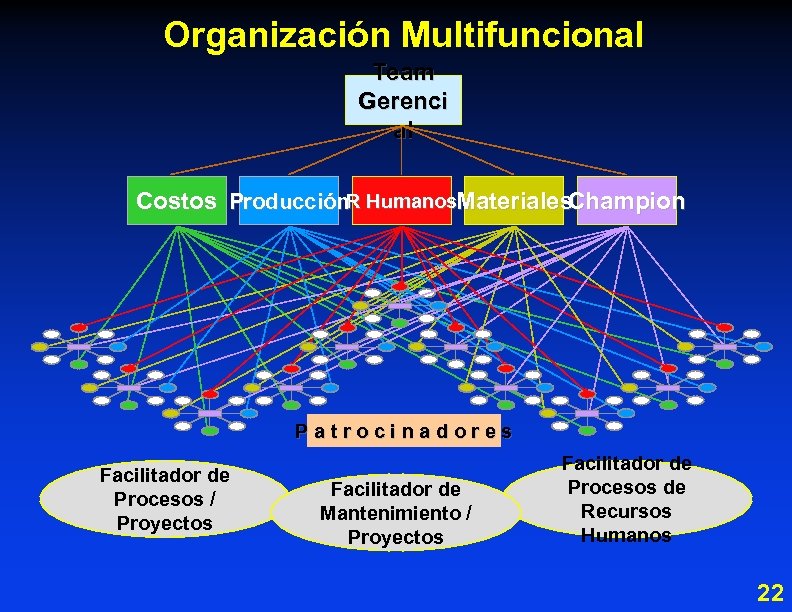 Organización Multifuncional Team Gerenci al Costos Producción. R Humanos. Materiales. Champion Patrocinadores Facilitador de