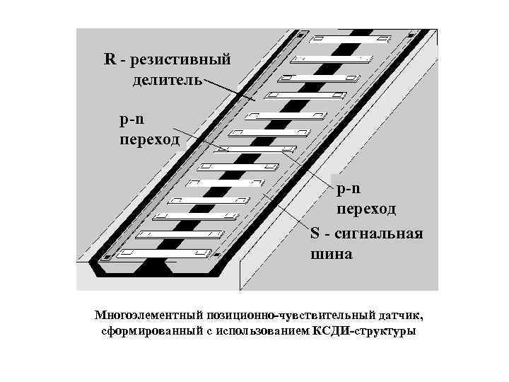 R - резистивный делитель p-n переход S - сигнальная шина Многоэлементный позиционно-чувствительный датчик, сформированный