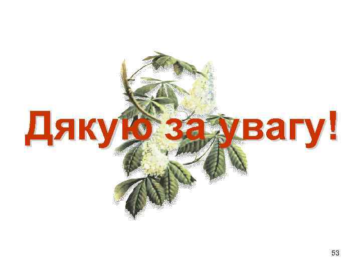 Дякую за увагу! 53 