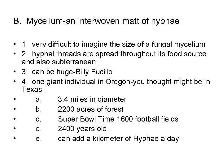 B. Mycelium-an interwoven matt of hyphae • 1. very difficult to imagine the size