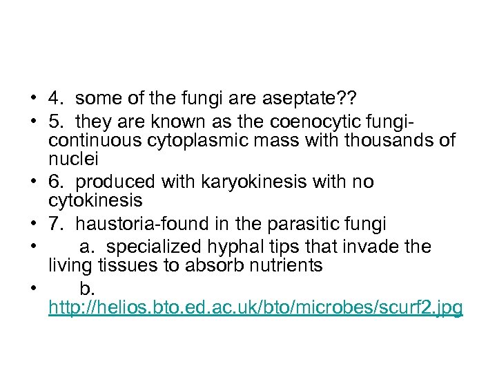  • 4. some of the fungi are aseptate? ? • 5. they are