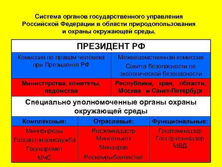 Система органов государственного управления Российской Федерации в области природопользования и охраны окружающей среды. ПРЕЗИДЕНТ