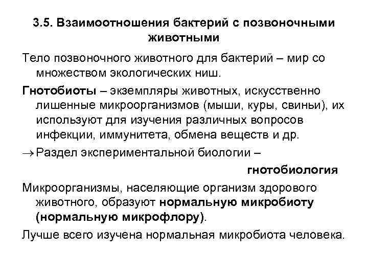 3 взаимоотношения. Взаимоотношение бактерий с другими организмами. Гнотобиология микробиология. Взаимоотношения микроорганизмов с другими организмами. Взаимоотношения микроорганизмов с животными.