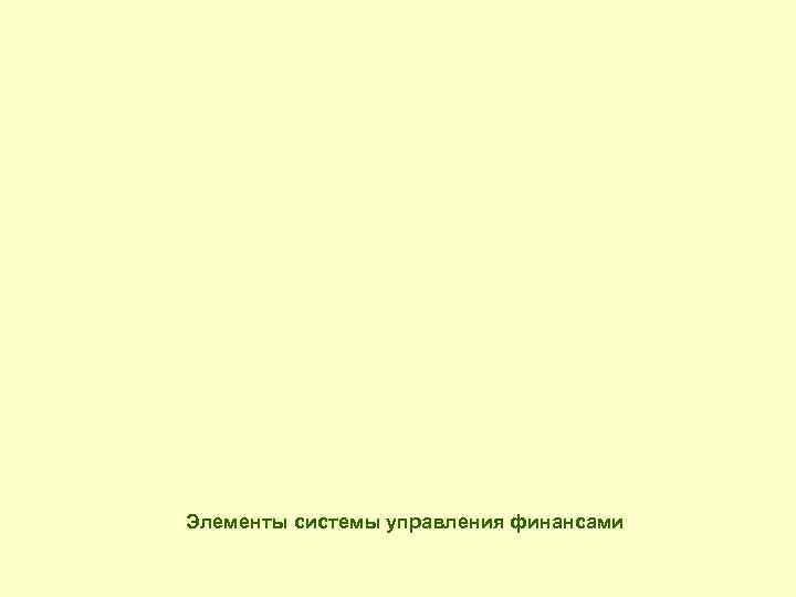 Элементы системы управления финансами 