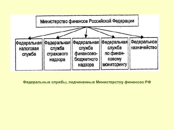 Федеральные службы, подчиненные Министерству финансов РФ 