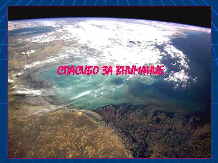 СПАСИБО ЗА ВНИМАНИЕ 