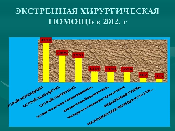 ЭКСТРЕННАЯ ХИРУРГИЧЕСКАЯ ПОМОЩЬ в 2012. г 