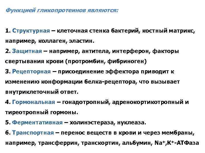 Функцией гликопротеинов являются: 1. Структурная – клеточная стенка бактерий, костный матрикс, например, коллаген, эластин.