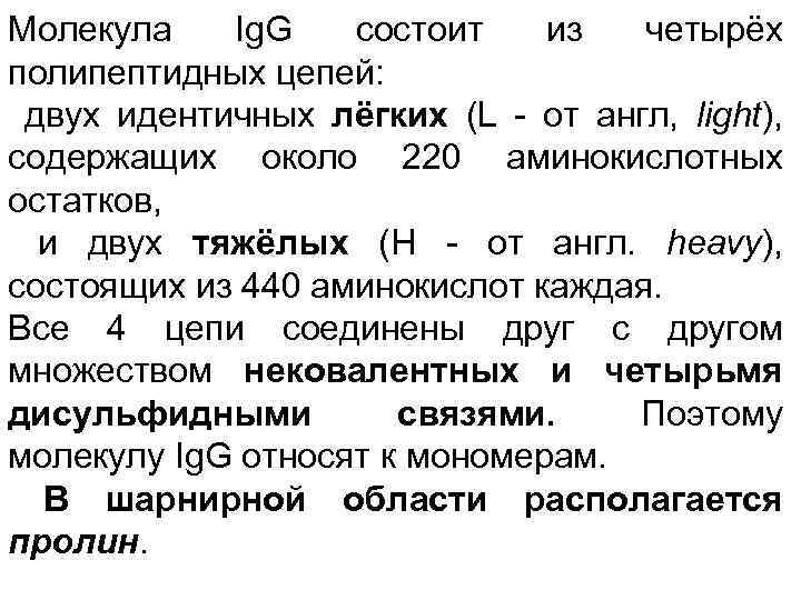 Молекула Ig. G состоит из четырёх полипептидных цепей: двух идентичных лёгких (L - от