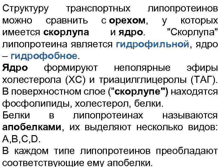 Структуру транспортных липопротеинов можно сравнить с орехом, у которых имеется скорлупа и ядро. "Скорлупа"