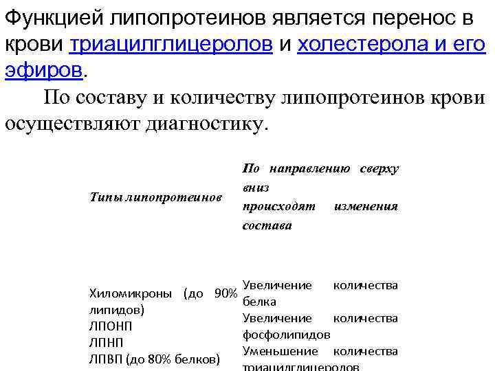 Липопротеин бета повышен. Классификация, строение и функции липопротеинов. Липопротеины крови. Функции липопротеинов. Классификация липопротеинов.