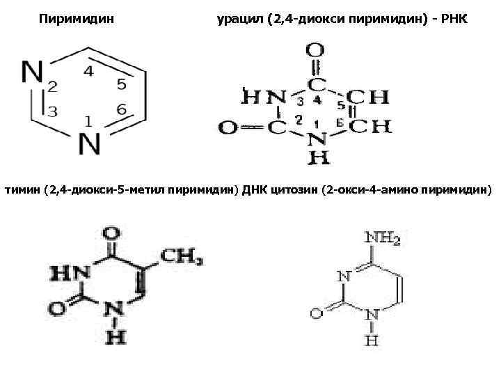 Рнк тимин урацил. Пиримидин 2,4. 5-Метил-2,4-диоксопиримидин (Тимин). Тимин 2,6 диокси 5метилпиримидин. Структура пиримидина.