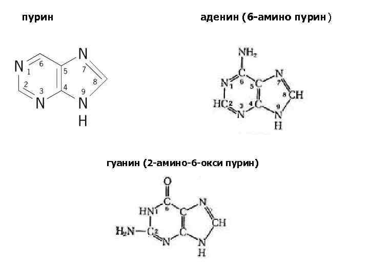 Применение пурина