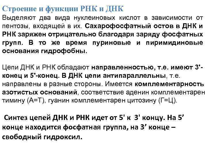 Строение и функции РНК и ДНК Выделяют два вида нуклеиновых кислот в зависимости от