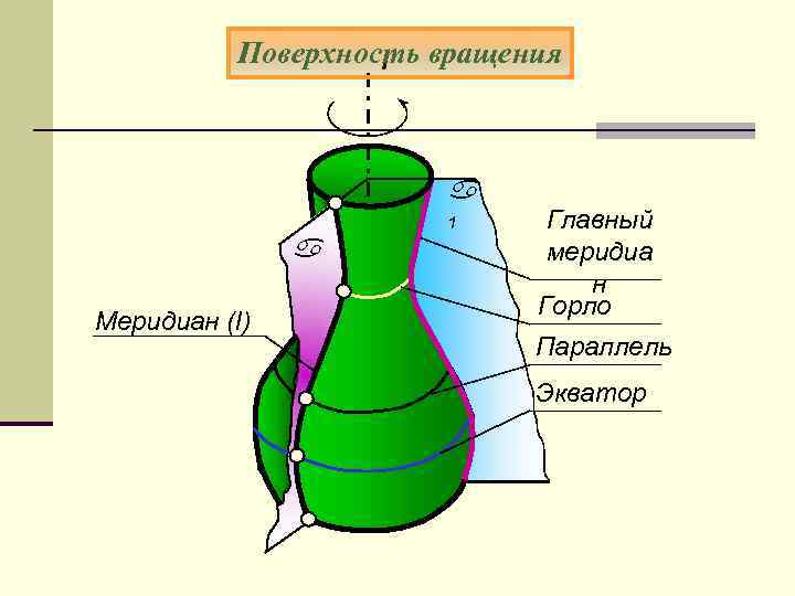 Поверхность вращения i a a Меридиан (l) 1 Главный меридиа н Горло Параллель Экватор