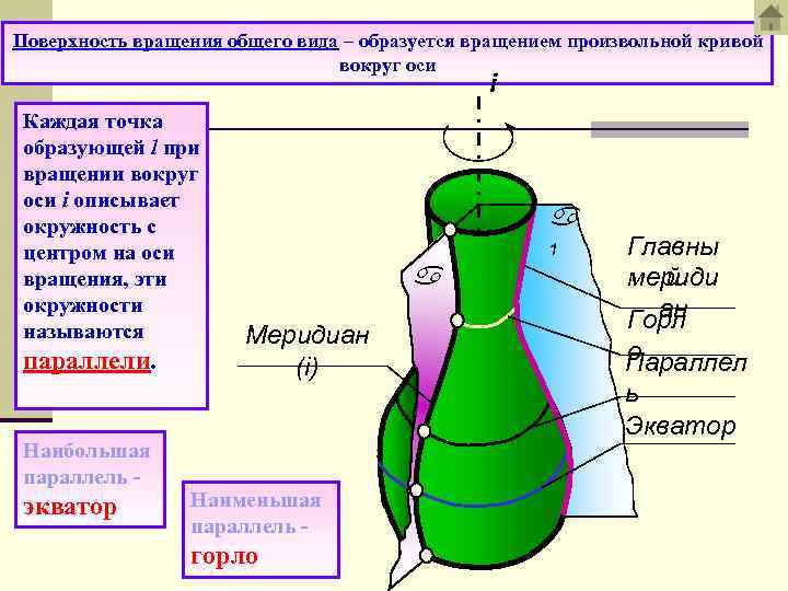 Поверхность вращения общего вида – образуется вращением произвольной кривой вокруг оси i Каждая точка