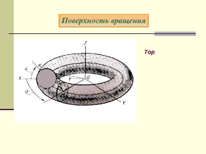 Поверхность вращения Тор 