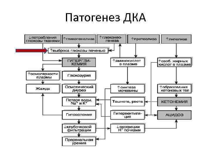 Патогенез ДКА 