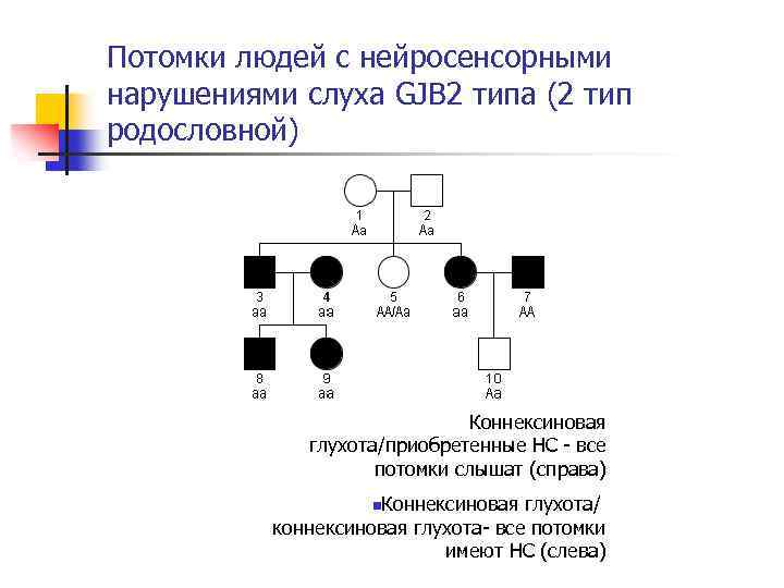 Потомки людей с нейросенсорными нарушениями слуха GJB 2 типа (2 тип родословной) Коннексиновая глухота/приобретенные