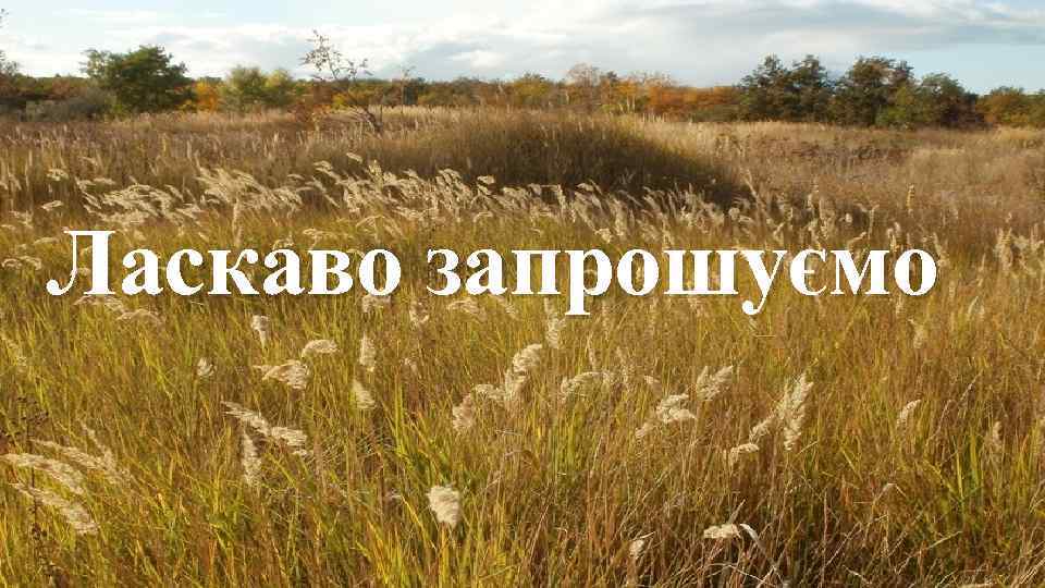 Ласкаво запрошуємо 