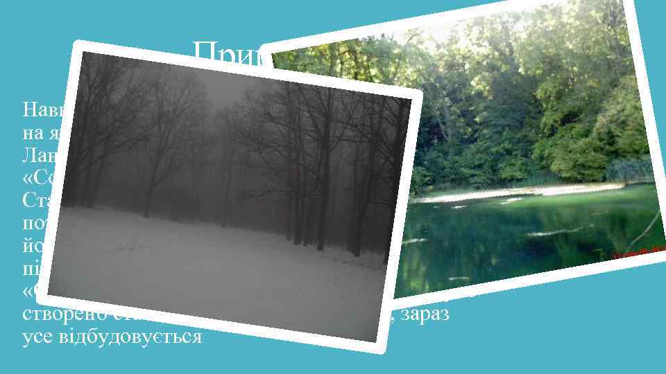 Природа Навколо села з усіх боків дубові ліси які щедрі на ягоди, гриби та