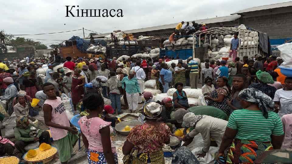 Кіншаса 