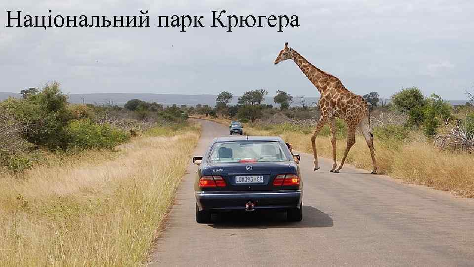 Національний парк Крюгера 