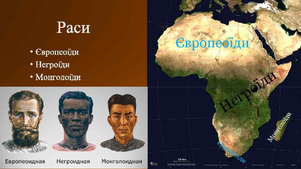 Європеоїди Єв ро М он го ло е Н їди ро г и їд