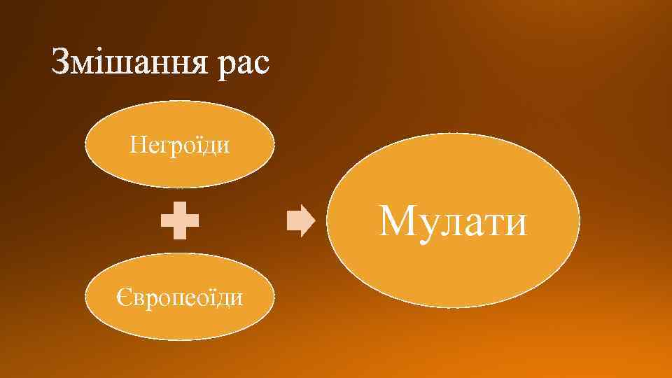 Негроїди Мулати Європеоїди 