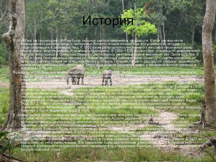 История В 16– 18 вв. на территории ЦАР не было сильных централизованных государств. В