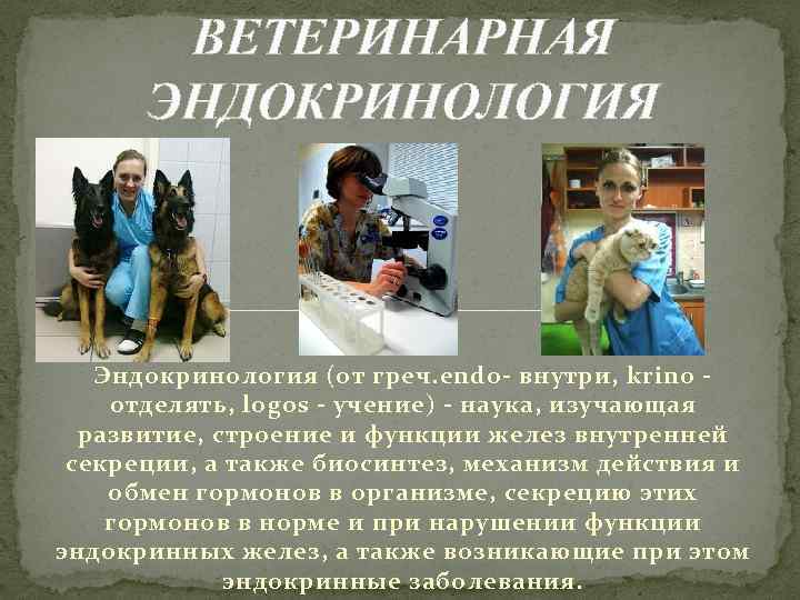 ВЕТЕРИНАРНАЯ ЭНДОКРИНОЛОГИЯ Эндокринология (от греч. endo- внутри, krino отделять, logos - учение) - наука,