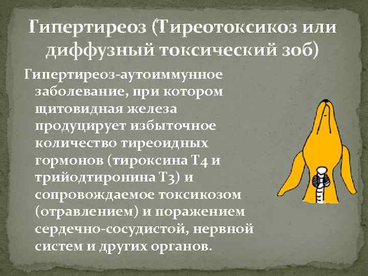 Гипертиреоз (Тиреотоксикоз или диффузный токсический зоб) Гипертиреоз-аутоиммунное заболевание, при котором щитовидная железа продуцирует избыточное