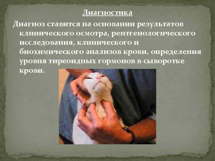 Диагностика Диагноз ставится на основании результатов клинического осмотра, рентгенологического исследования, клинического и биохимического анализов