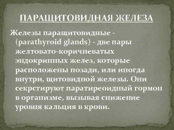 ПАРАЩИТОВИДНАЯ ЖЕЛЕЗА Железы паращитовидные (parathyroid glands) - две пары желтовато-коричневатых эндокринных желез, которые расположены