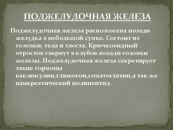 ПОДЖЕЛУДОЧНАЯ ЖЕЛЕЗА Поджелудочная железа расположена позади желудка в небольшой сумке. Состоит из головки, тела
