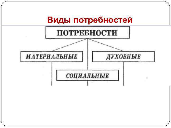 Виды потребностей 