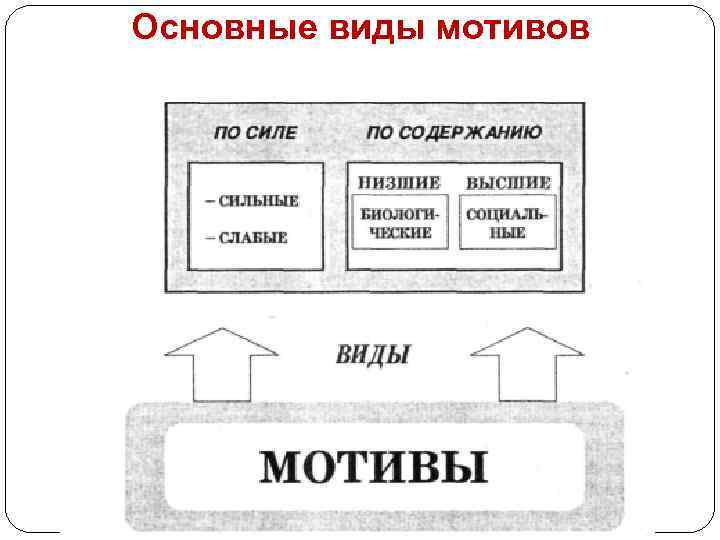 Основные виды мотивов 