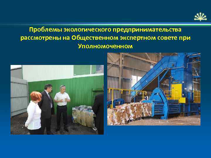 Проблемы экологического предпринимательства рассмотрены на Общественном экспертном совете при Уполномоченном 