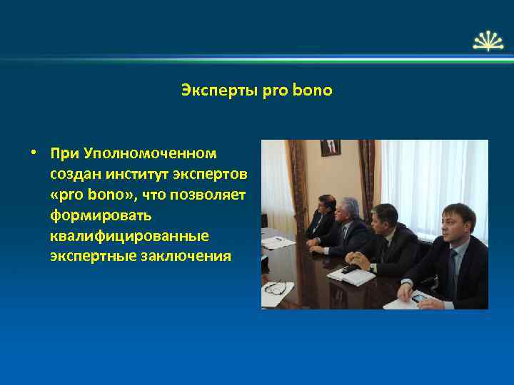 Эксперты pro bono • При Уполномоченном создан институт экспертов «pro bono» , что позволяет